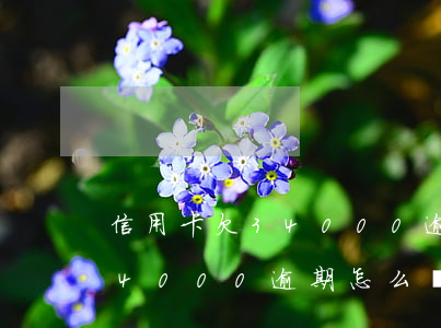 信用卡欠34000逾期怎么樣 信用卡欠34000逾期怎么樣