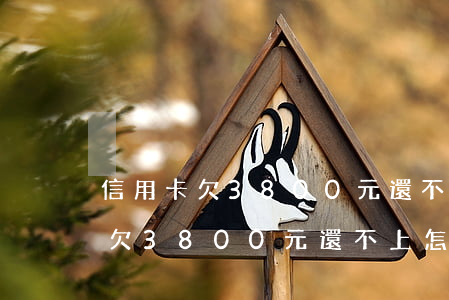信用卡欠3800元還不上怎么辦-信用卡欠3800元還不上怎么辦呢