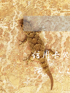 信用卡欠3w會被法院(信用卡欠3w會被法院執(zhí)行嗎)