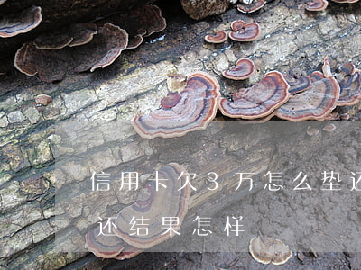 信用卡欠3万怎么垫还(欠信用卡三万无力偿还结果怎样)