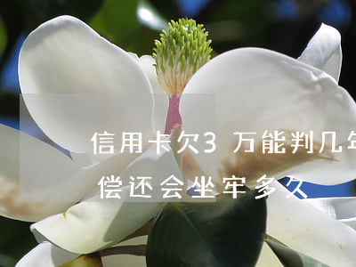 信用卡欠3万能判几年-欠信用卡3万无力偿还会坐牢多久