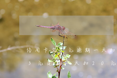 信用卡欠3元逾期一天扣20元-信用卡欠3元逾期一天扣20元違法嗎