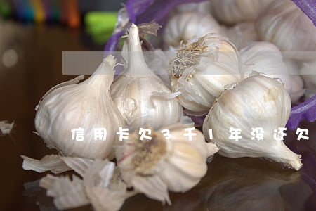 信用卡欠3千1年没还(欠信用卡几千块三年)
