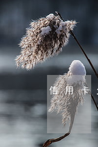信用卡欠3千多(信用卡欠3千多會上門嗎)