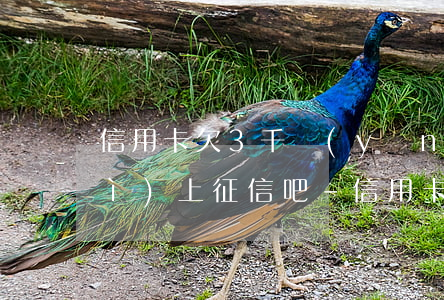 信用卡欠3千應(yīng)該不會(huì)上征信吧-信用卡欠3千應(yīng)該不會(huì)上征信吧嗎