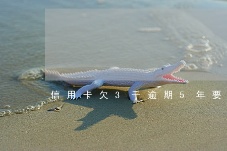 信用卡欠3千逾期5年要還多少-