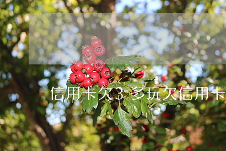 信用卡欠3多玩(欠信用卡3000能立案嗎)