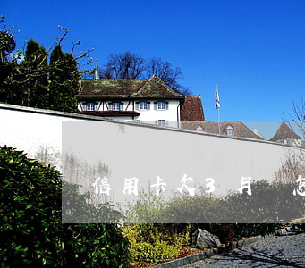 信用卡欠3月會怎么辦(欠信用卡3個月)