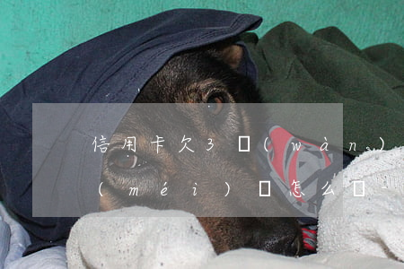信用卡欠3萬(wàn)三個(gè)月沒(méi)還怎么辦-信用卡欠3萬(wàn)三個(gè)月沒(méi)還怎么辦呢