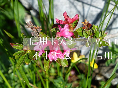 信用卡欠3萬(wàn)三個(gè)月還不上怎么辦-信用卡欠3萬(wàn)三個(gè)月還不上怎么辦呢