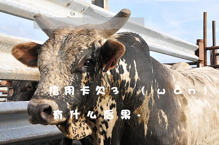 信用卡欠3萬(wàn)不還會(huì)有什么后果-