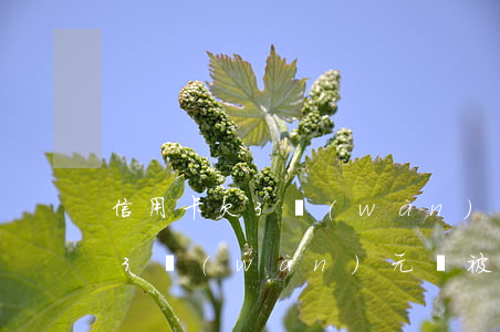信用卡欠3萬(wàn)判刑案例 欠信用卡3萬(wàn)元錢被起訴后果