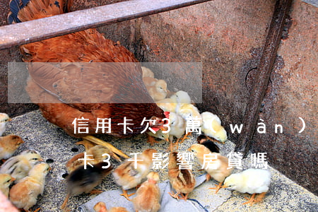 信用卡欠3萬(wàn)房貸影響么(欠信用卡3千影響房貸嗎)