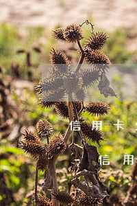 信用卡欠3萬(wàn)逾期4年要還多少-信用卡欠3萬(wàn)逾期4年要還多少錢