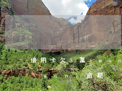 信用卡欠3萬(wàn)逾期（信用卡欠3萬(wàn)逾期）