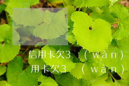 信用卡欠3萬(wàn)還不上怎么辦-信用卡欠3萬(wàn)還不上怎么辦呢