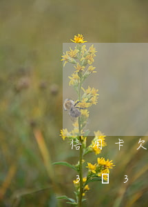 信用卡欠3萬3個月不還怎么辦-信用卡欠3萬3個月不還怎么辦呢