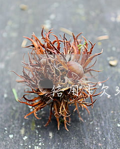 信用卡欠3萬三年不還會怎么樣-