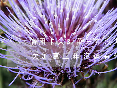 信用卡欠3萬三年沒還有什么后果-信用卡欠3萬三年沒還有什么后果嗎