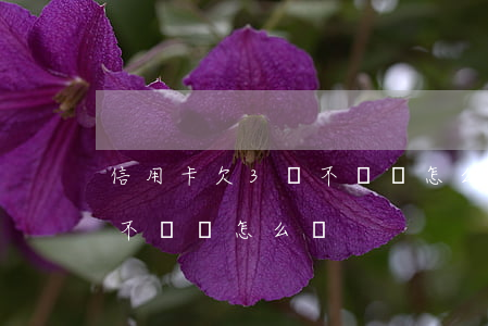 信用卡欠3萬不還會怎么樣(信用卡欠款三千不還會怎么樣)