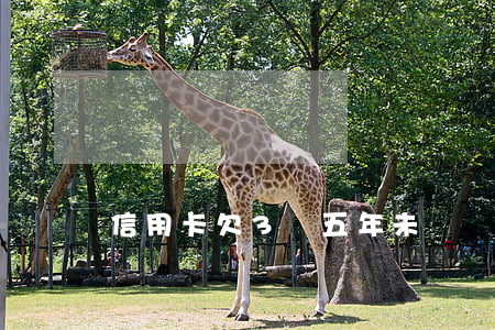 信用卡欠3萬五年未還銀行起訴-