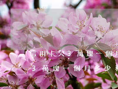信用卡欠3萬塊一個月多少利息-信用卡欠3萬塊一個月多少利息啊