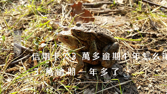 信用卡欠3萬多逾期4年怎么辦-欠信用卡3萬,逾期一年多了