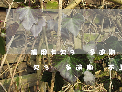 信用卡欠3萬多逾期還不上怎么辦-信用卡欠3萬多逾期還不上怎么辦呢