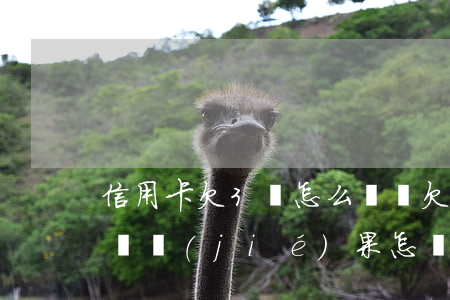 信用卡欠3萬怎么墊還(欠信用卡三萬無力償還結(jié)果怎樣)