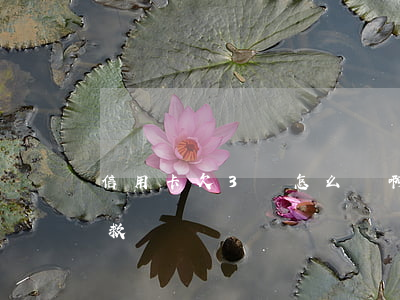 信用卡欠3萬怎么辦啊(欠信用卡3萬怎么自救)
