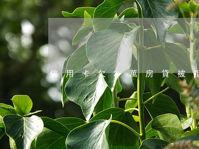 信用卡欠3萬房貸被拒(有房貸信用卡被拒)