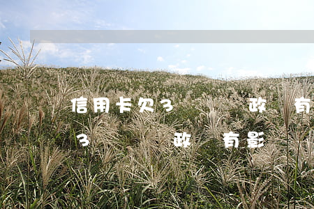 信用卡欠3萬會對政審有影響嗎-信用卡欠3萬會對政審有影響嗎知乎