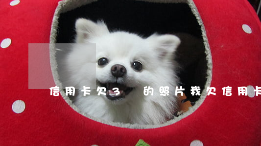 信用卡欠3萬的照片(我欠信用卡3萬會判刑嗎)