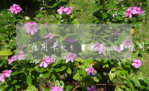 信用卡欠3萬要怎么辦 信用卡欠3萬怎么辦啊