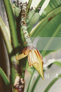 信用卡欠3萬逾期三個月(信用卡3萬逾期半年利息多少)