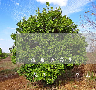 信用卡欠3萬還不上會有什么后果-信用卡欠3萬還不上會有什么后果嗎