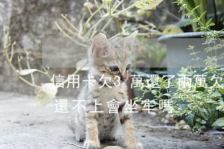 信用卡欠3萬還了兩萬(欠信用卡三萬多暫時還不上會坐牢嗎?)