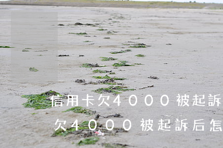 信用卡欠4000被起訴后怎么辦-信用卡欠4000被起訴后怎么辦呢
