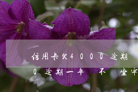 信用卡欠4000逾期會怎樣(信用卡4000逾期一年會不會坐牢)