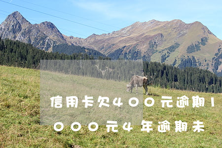 信用卡欠400元逾期13年-欠信用卡8000元4年逾期未還