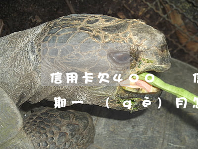 信用卡欠400塊錢(信用卡欠400塊錢逾期一個(gè)月怎么辦)
