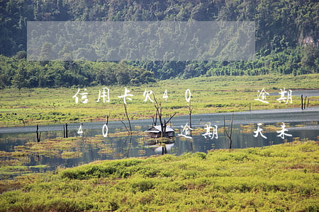 信用卡欠40塊錢逾期兩天未還-信用卡欠40塊錢逾期兩天未還會(huì)怎樣