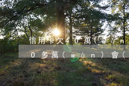 信用卡欠40萬(wàn)自救(欠信用卡40多萬(wàn)會(huì)判幾年)
