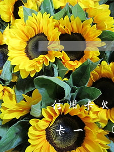 信用卡欠40萬(wàn)逾期1年 欠信用卡一萬(wàn)多逾期一年了