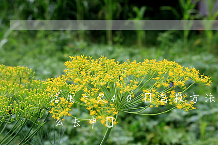 信用卡欠40萬自救方法-停息掛賬自己怎么去申請