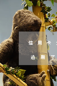 信用卡欠45萬逾期三個月(欠信用卡五十萬逾期了)