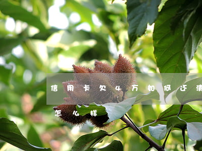 信用卡欠4万如何还清(欠信用卡四万块钱会怎么样)