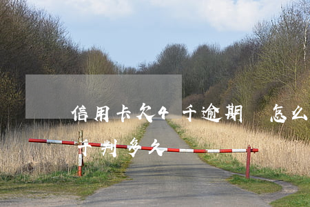 信用卡欠4千逾期費怎么算(欠信用卡4萬5千判多久)