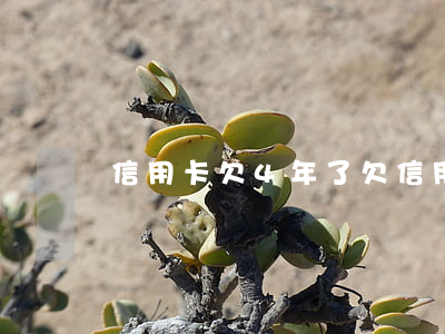 信用卡欠4年了(欠信用卡4年了會怎么處理)