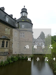 信用卡欠4萬(wàn)一年還清怎么辦（信用卡欠4萬(wàn)一年還清）